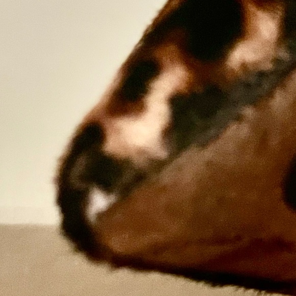 M Gemi Stellato Anello Leopard print flats 38 1/2 - Picture 4 of 4